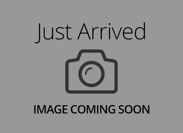 Miniature Schnauzer – 8882
